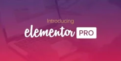 Elementor PRO WordPress Page Builder + Pro Templates 4.3.2